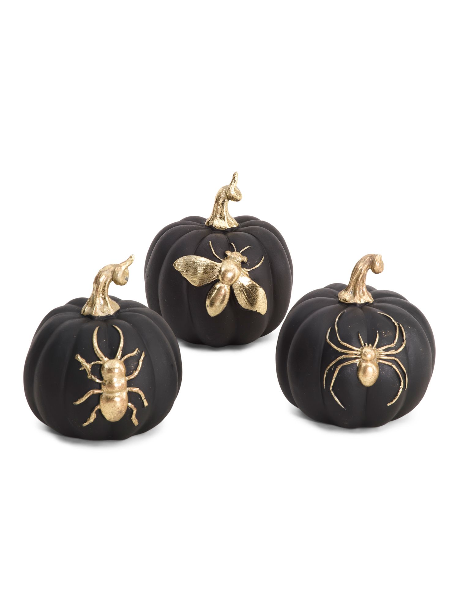 Set Of 3 4.25in Insect Pumpkins | TJ Maxx