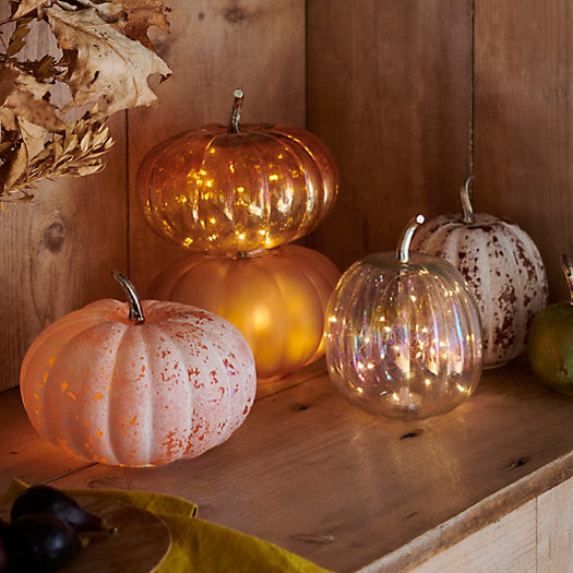 Shop the Look: The Pumpkin Patch | Terrain