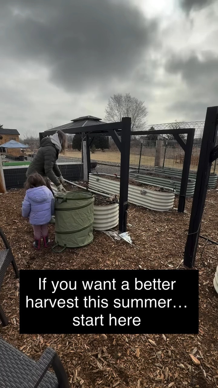 It’s not planting season yet in Minnesota… but it is prep season 🌱

Here’s what I’m doing to get my raised beds ready for spring:

• Cleaning out old debris
• Cutting back anything I left for winter habitat
• Lightly raking the surface
• Adding a fresh layer of compost

I don’t till my beds — I focus on feeding the soil instead 🤎

Slow work now = better harvest later.

Are you team “wait until May” or already outside every sunny day like me?

#zone4garden #midwestgarden #raisedbedgardening #gardenprep #homesteadlife