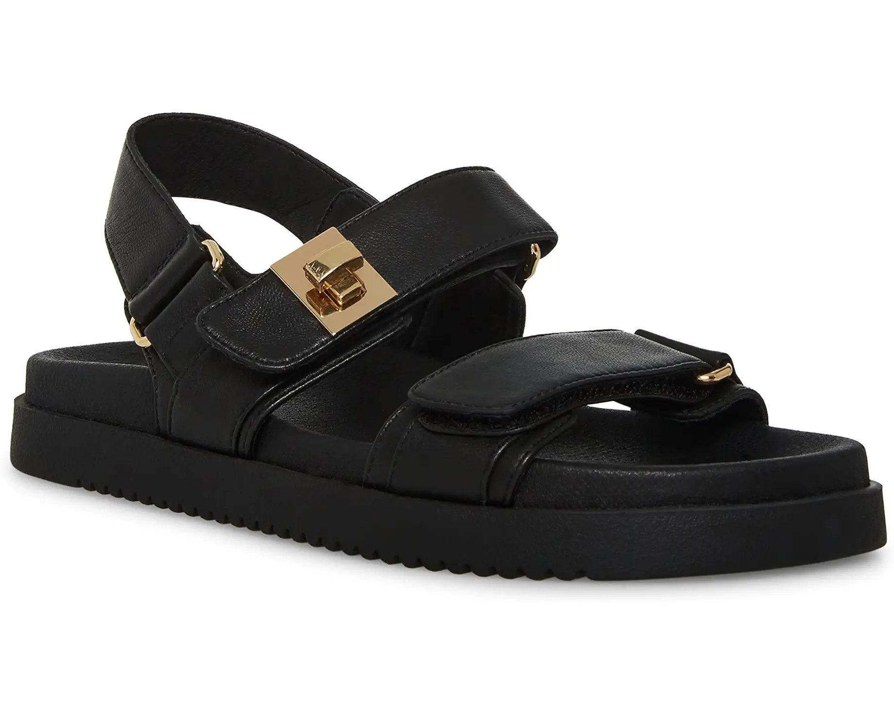 Steve Madden | Zappos