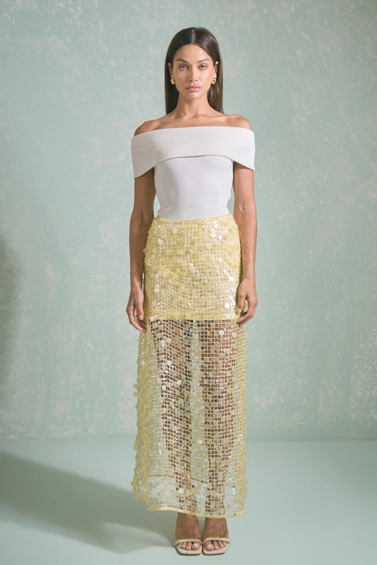 Sequin Mesh Maxi Skirt | Endless Rose