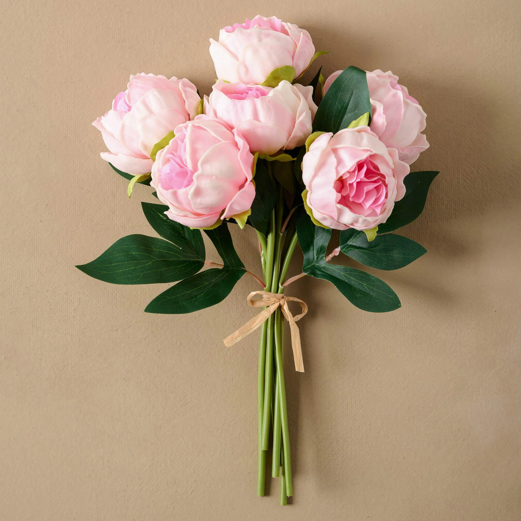 Peony Bundle | Magnolia