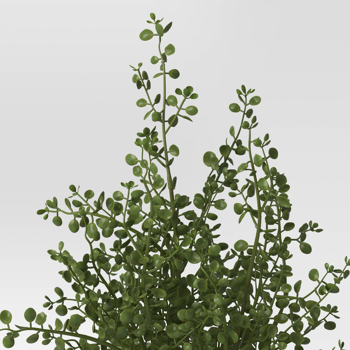 16" Unsheared Boxwood Artificial Plant - Threshold™ designed with Studio McGee | Target
