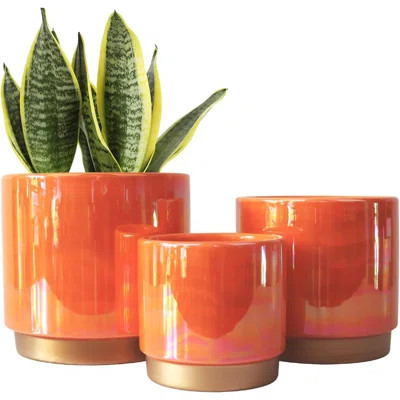 Ceramic Indoor Pots For Plants Rainbow Pearl Glaze Planter With Drainage Hole Orchid Flower Pots | Wayfair North America