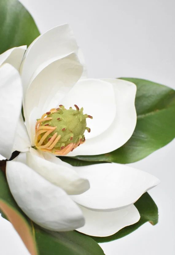 24" Faux Magnolia Blossom Stem | Etsy (US)