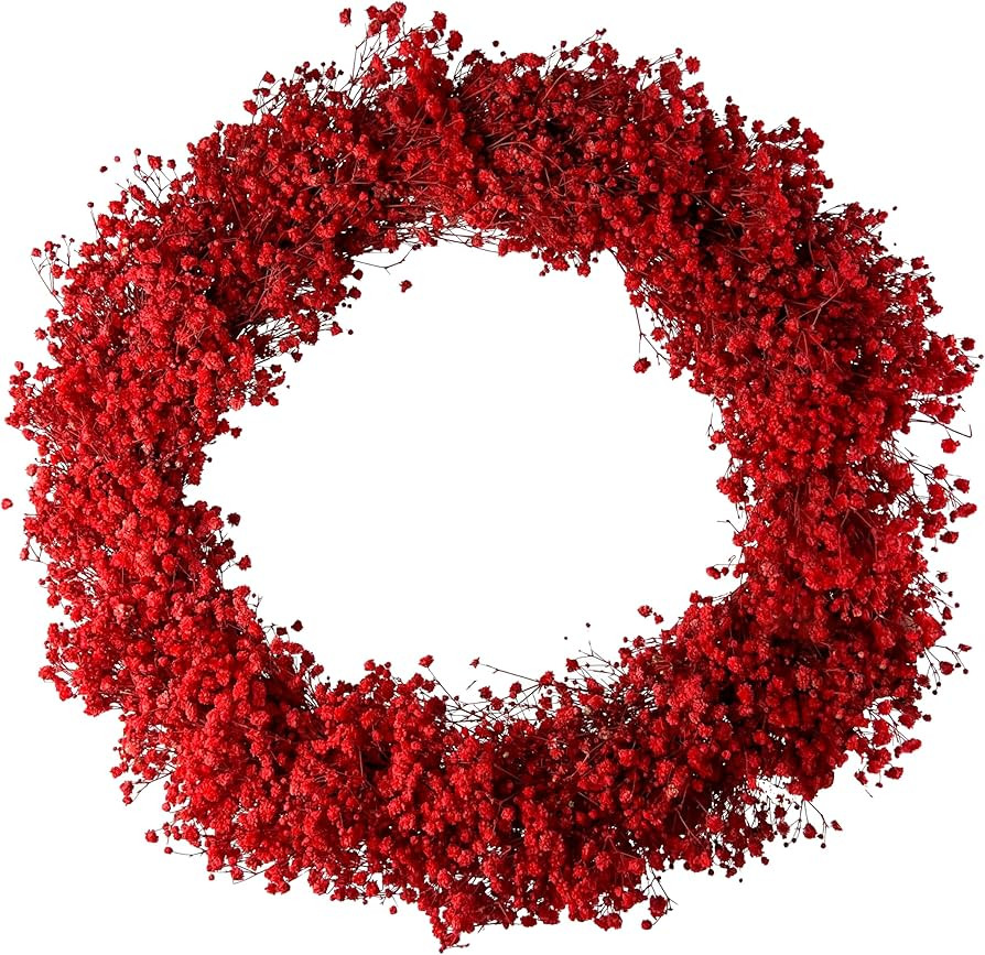 by Solé Farms - 14" Preserved Wreath for Front Door, Home Décor, Christmas, etc | Handmade Natu... | Amazon (US)