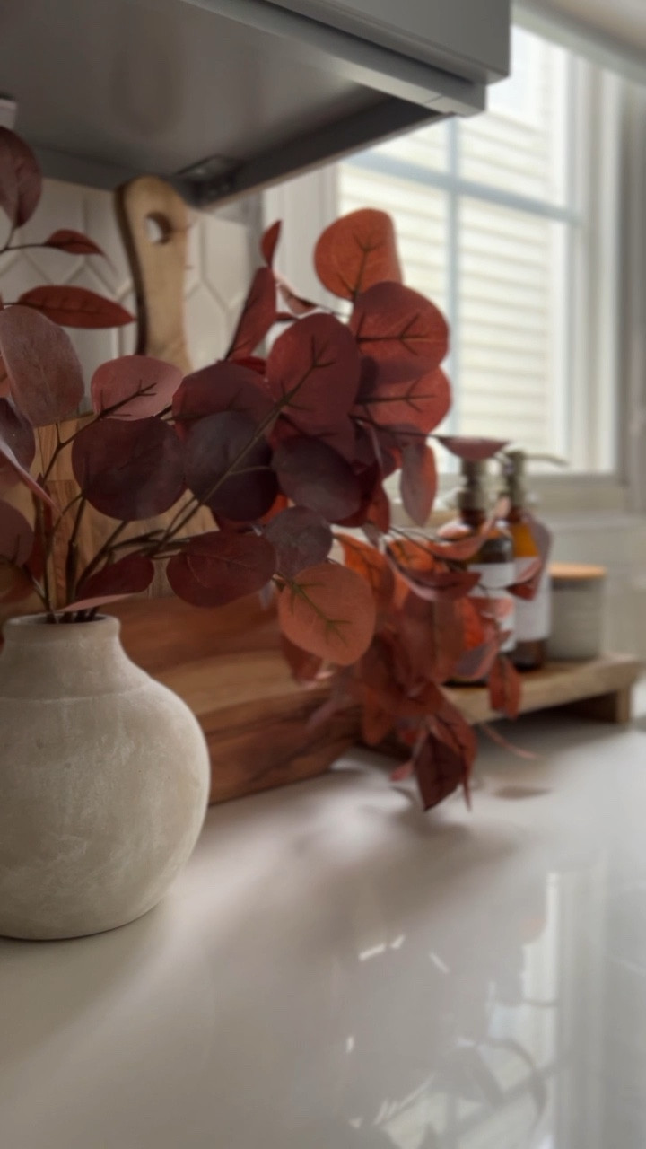Fall, kitchen, counter, fall arrangement, fall floral, Target, amazon, neutral home, home decor, organic modern, kitchen, soap dispenser, wood board, sink, faucet

#LTKhome #LTKstyletip #LTKSeasonal