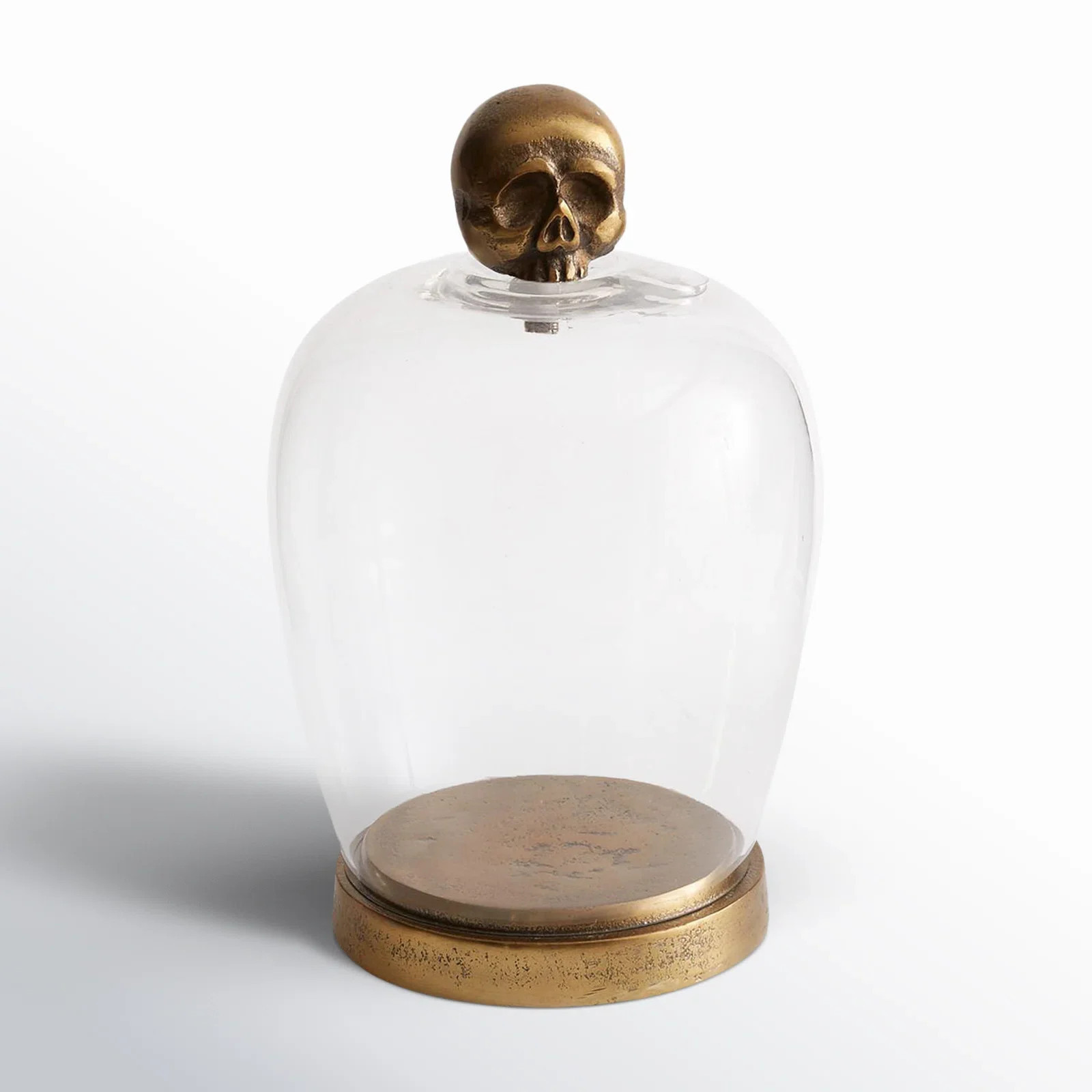 Birch Lane™ Beufort Skull Cloche & Reviews | Birch Lane | Birch Lane