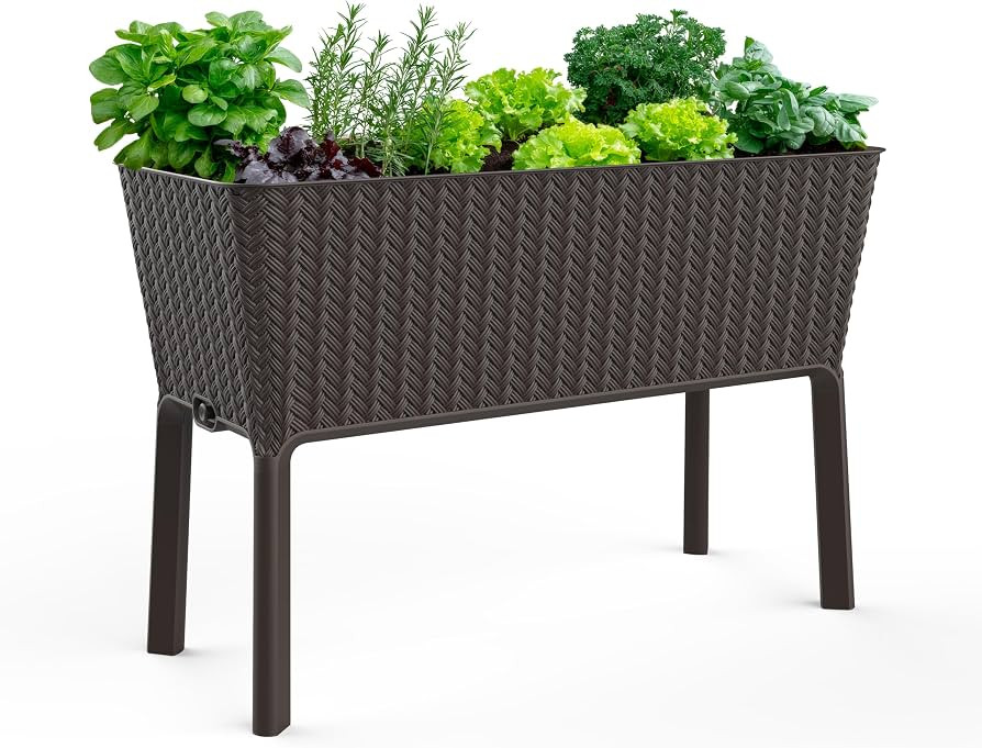 Keter Splendor 31.7 Gallon Raised Garden Bed with Self Watering Planter Box and Drainage Plug-Per... | Amazon (US)