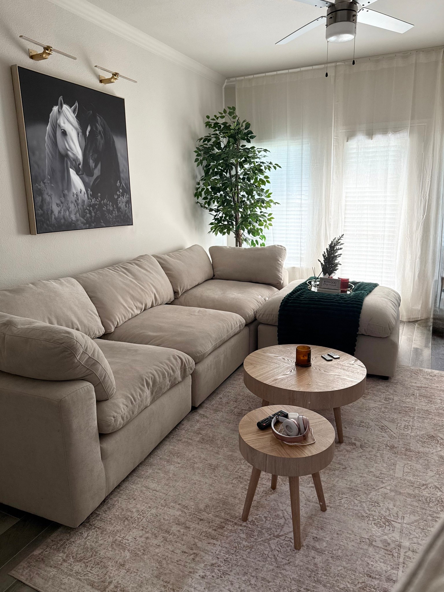 Living room essentials 