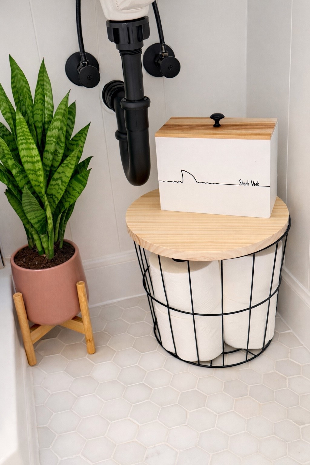 Shark week box 🦈 I think these are so cute and so needed in every bathroom 🖤

#LTKHome #LTKmomlife #LTKselfcare