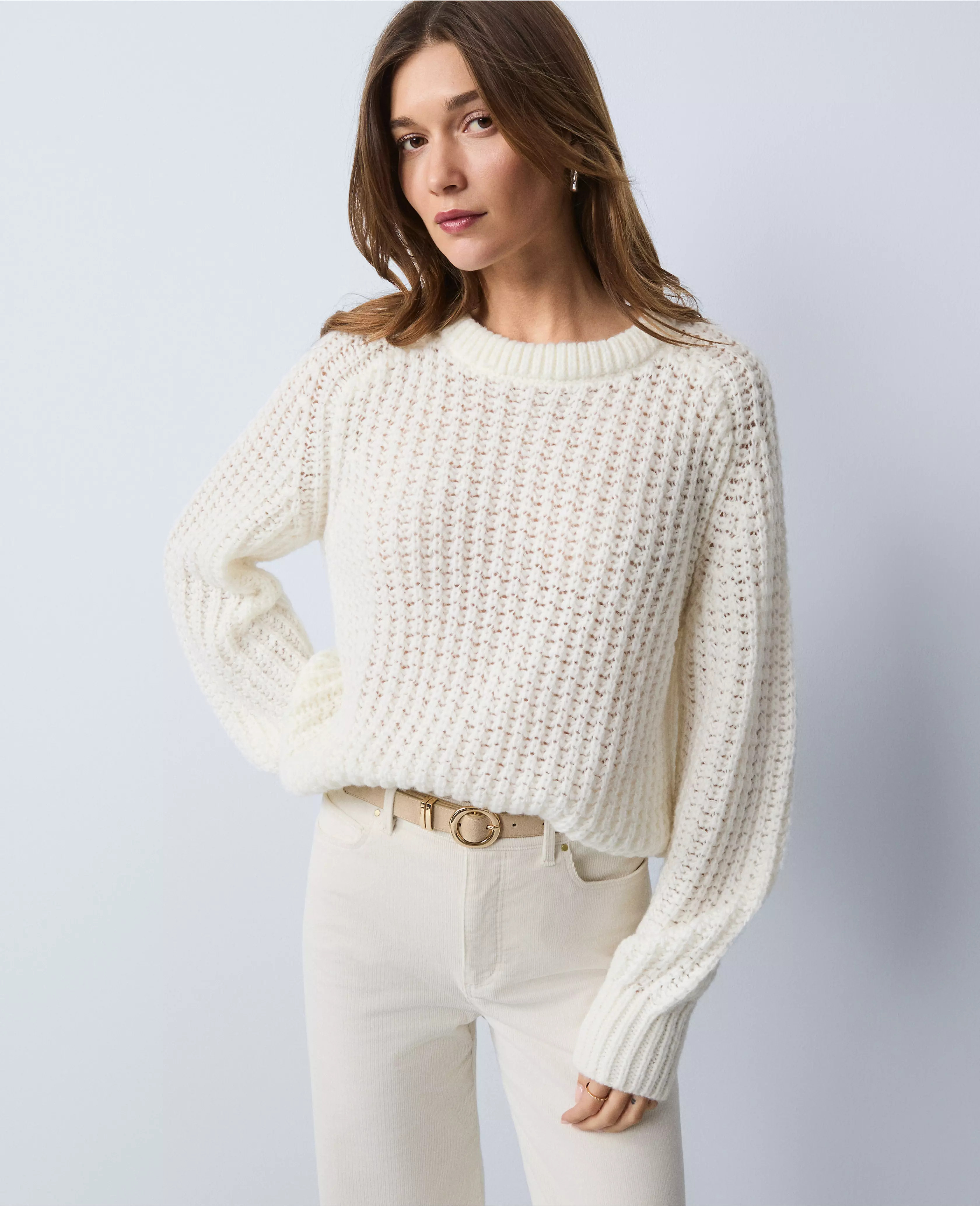 Weekend Collection Cozy Crew Neck Sweater | Ann Taylor