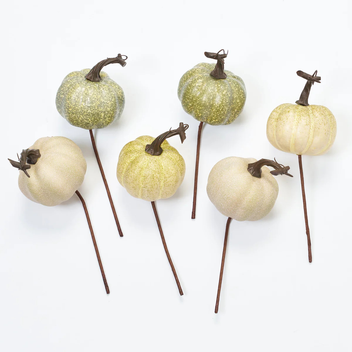 Cream & Green Assorted Mini Pumpkin Picks Set of 6 Stems - 10'' | Darby Creek Trading