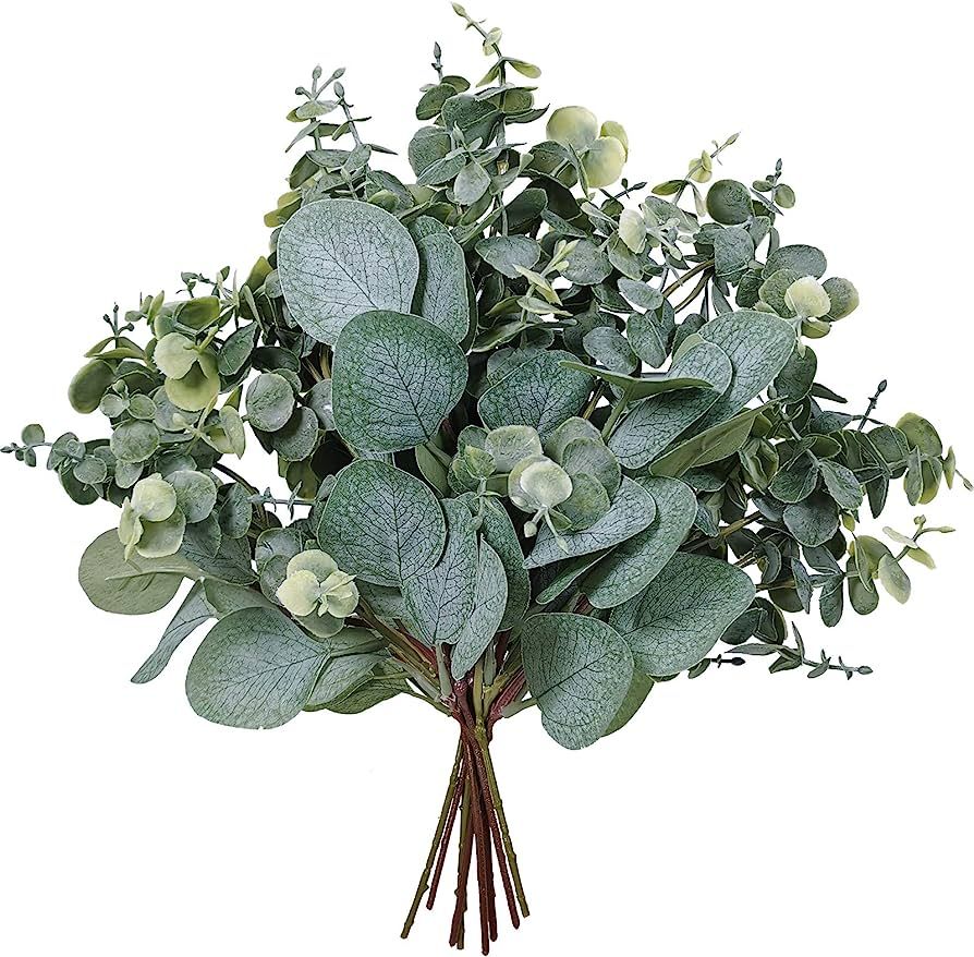 10 Pcs Mixed Eucalyptus Leaves Stems Bulk Artificial Silver Dollar Picks Faux Branches for Vase B... | Amazon (US)