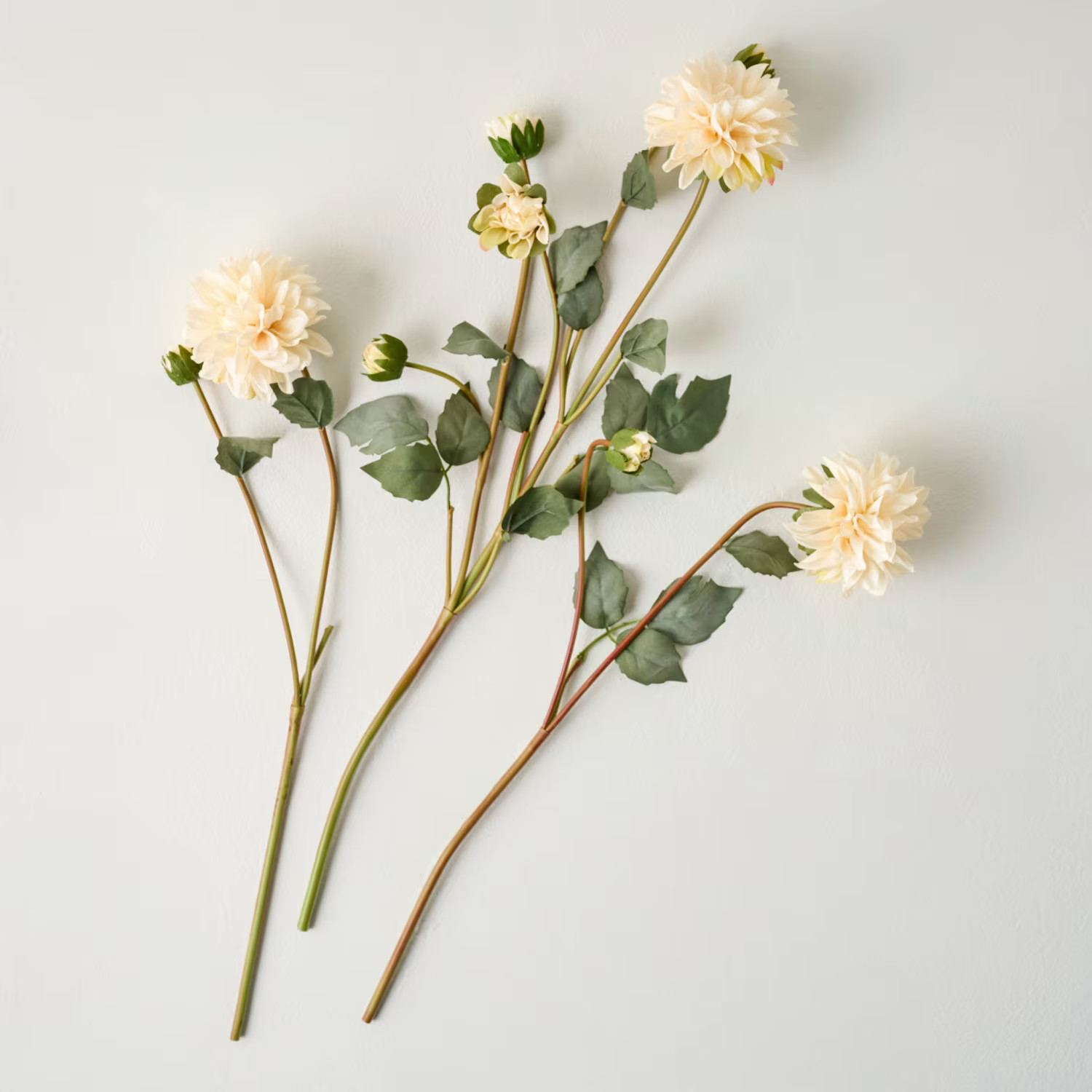 Dahlia Bloom Bundle | Magnolia