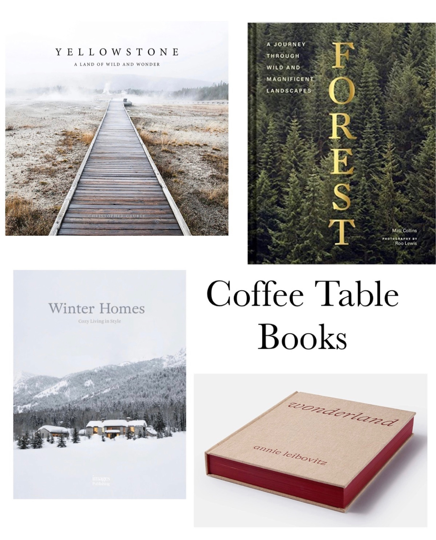 Coffee table books

#LTKhome #LTKHoliday #LTKSeasonal