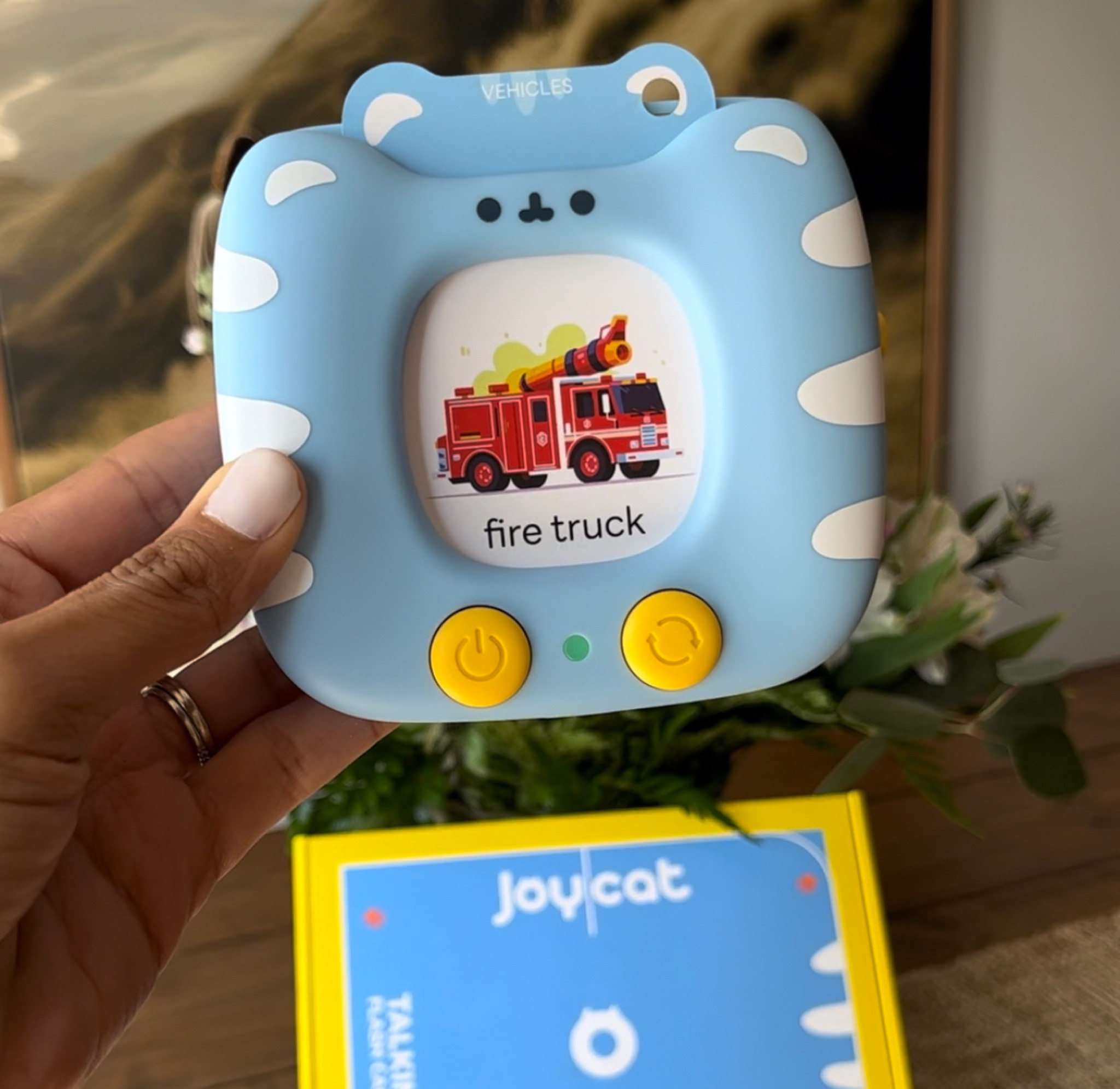 Talking flash card educational toy

#LTKFindsUnder50 #LTKKids #LTKFindsUnder100
