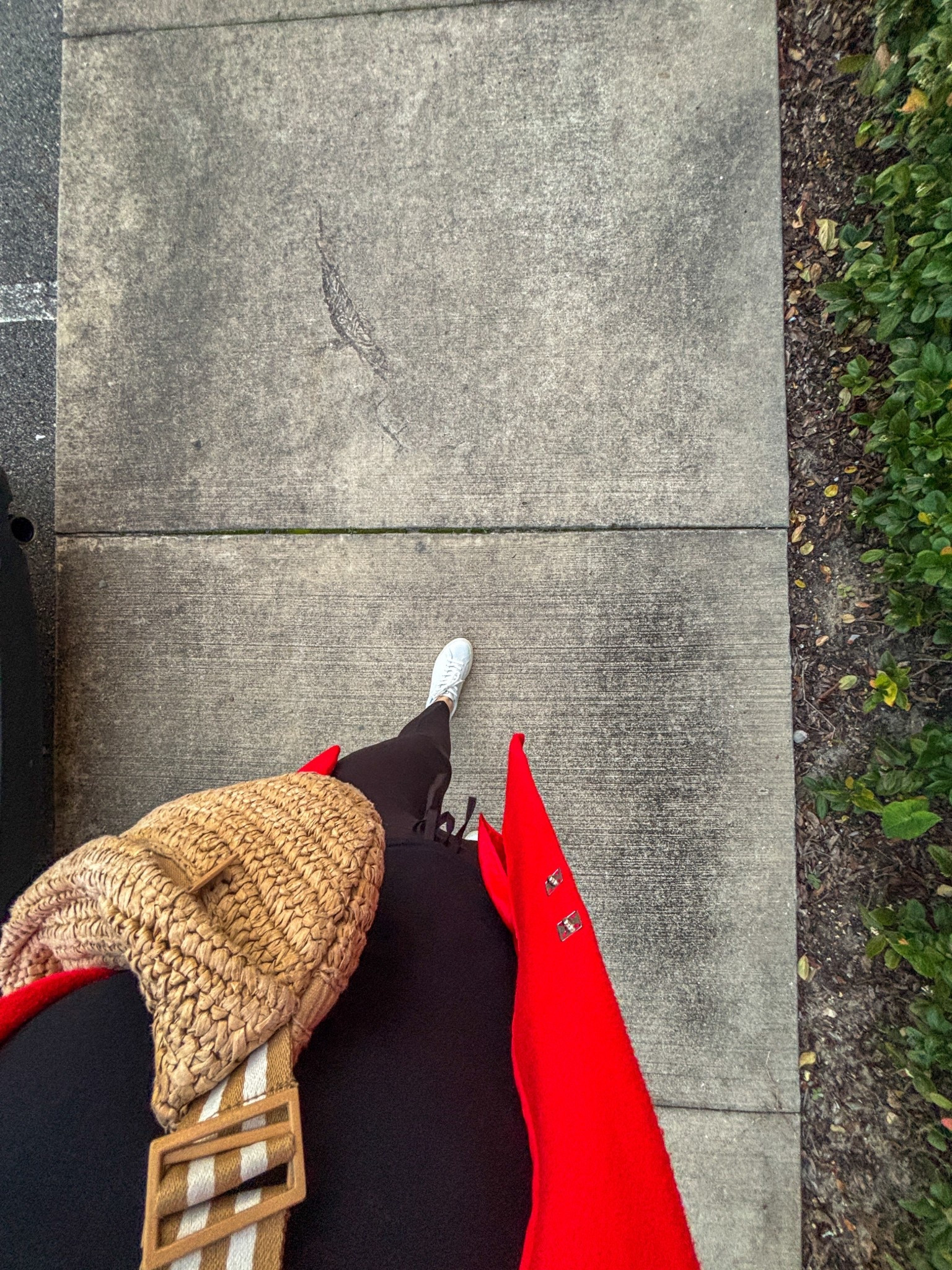 A chilly Florida day work fit 🤍


#LTKSaleAlert #LTKdayinmylife #LTKootd