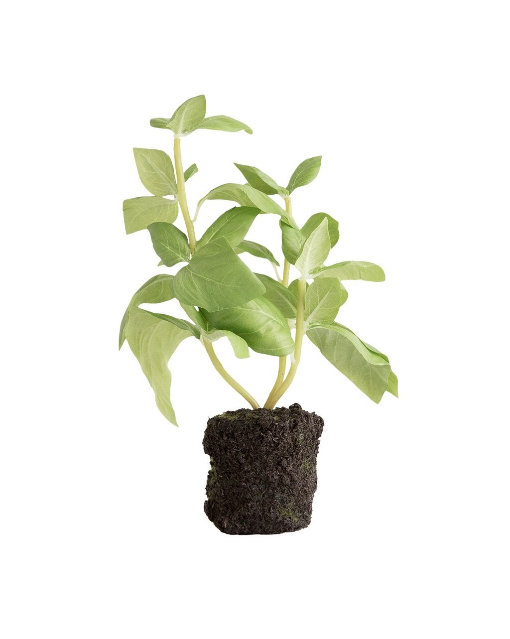 Faux Basil Drop-In | McGee & Co.