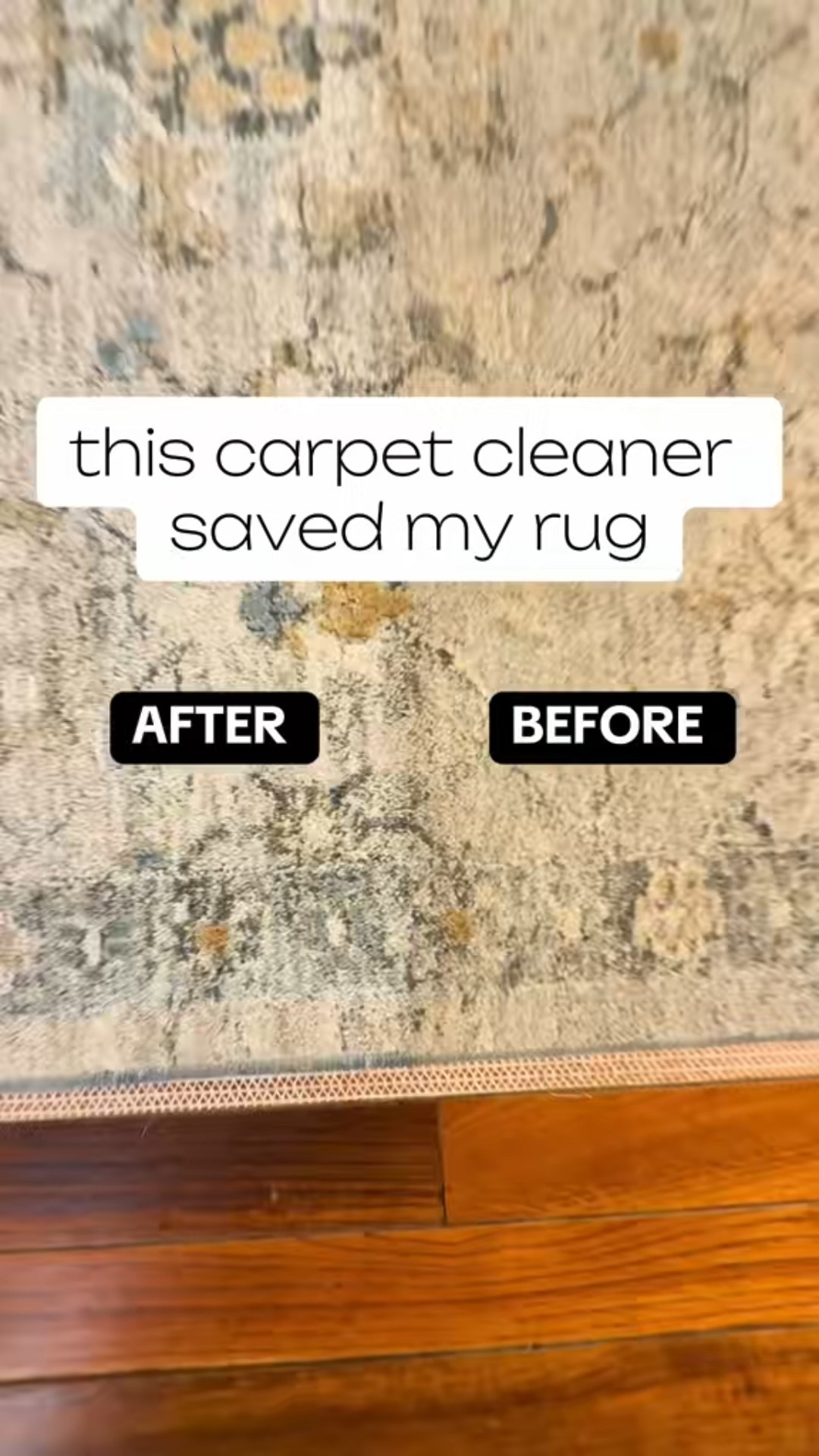 Carpets, rugs and upholstery.
Clean it all in time for the holidays.

This carpet cleaner from Shark will impress, just like any of their products.

So easy to use, but even more importantly, so easy to clean.

Not bulky like traditional carpet cleaners, but just as powerful. 


#carpet #carpetcleaning #carpetcleaner #carpetwashing #cleancarpet #cleancouches #cleanhomehappyhome #cleaning #cleanwithme #satisfying
#cleanhome

#LTKGiftGuide #LTKCyberWeek #LTKHome