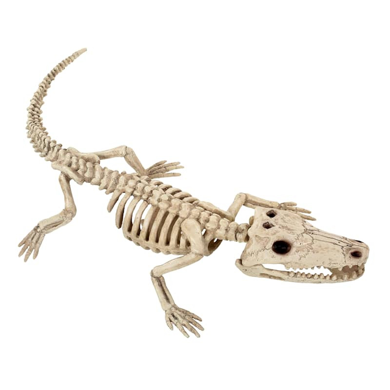 Halloween Alligator Skeleton, 9.5" | At Home