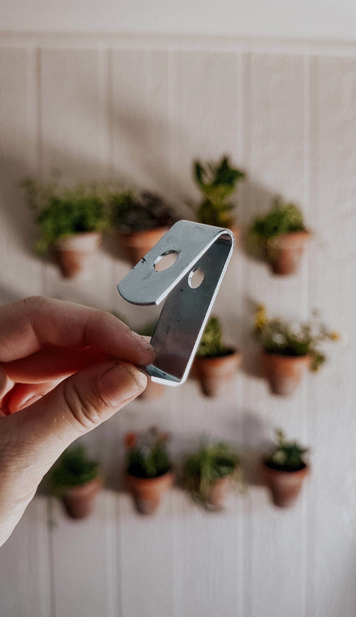 The BEST way to hang plants on your walls!  

 #LTKSeasonal #LTKHome