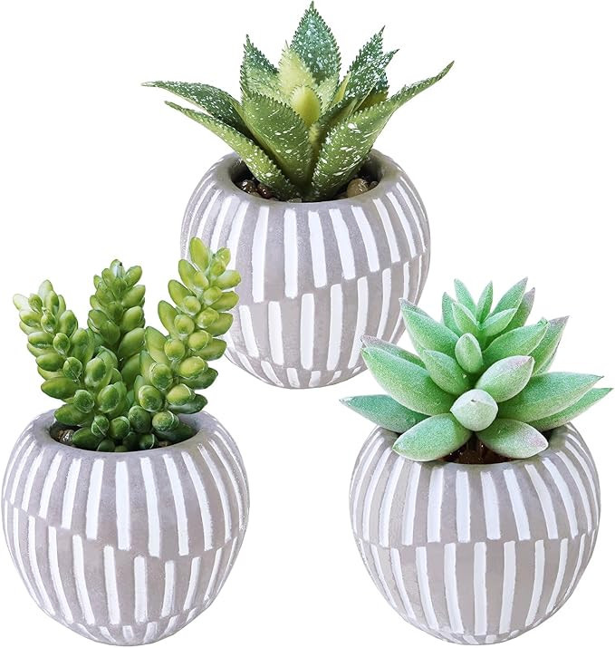 Winlyn Set of 3 Artificial Succulents Plants in Mini Gray and White Geometric Cement Pots Faux Po... | Amazon (US)