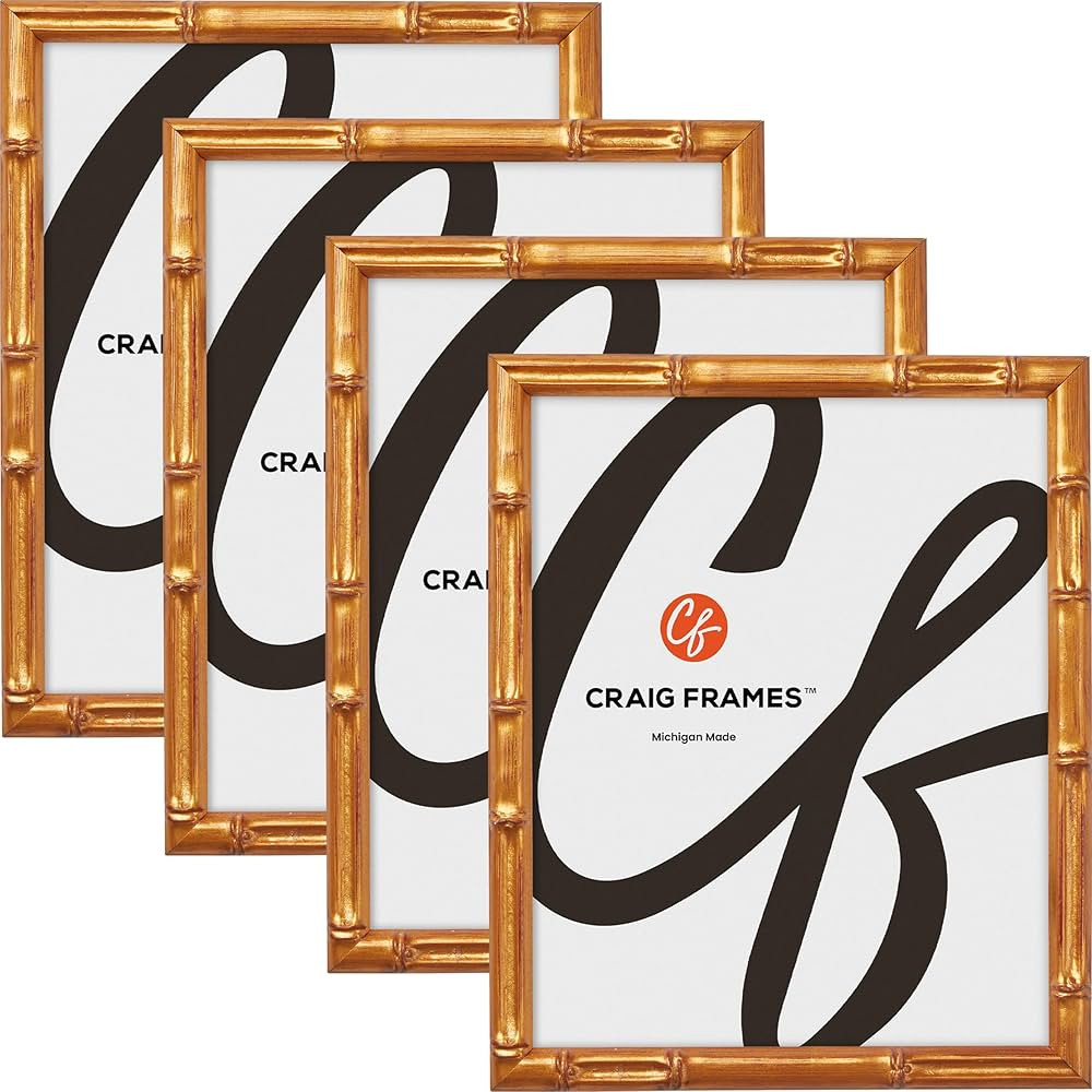 Craig Frames | Amazon (US)