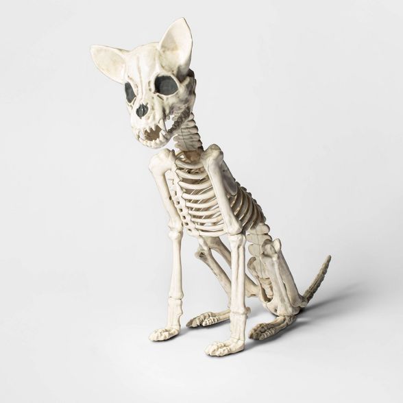 Skeleton Chihuahua Halloween Decorative Prop - Hyde & EEK! Boutique™ | Target