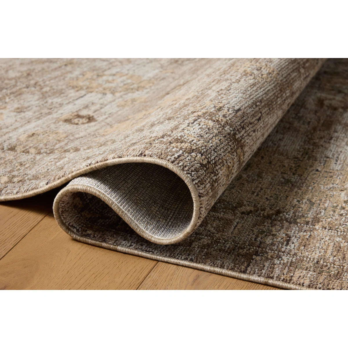 Jacobo Sand / Earth Area Rug | Wayfair North America