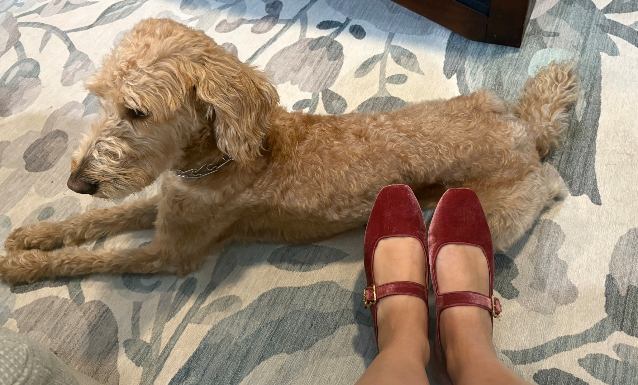 Largest selection of flats you will see today 

#LTKSaleAlert #LTKSeasonal #LTKHome