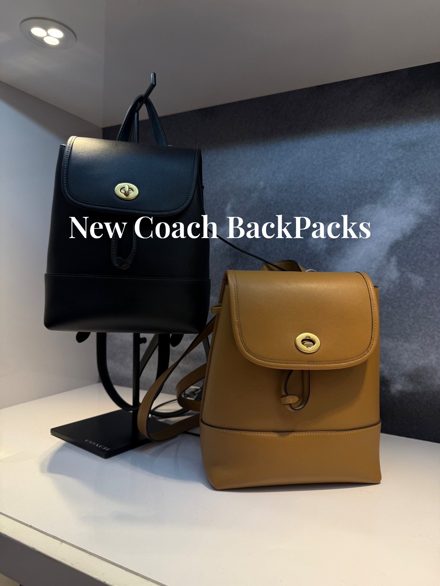 These new small coach backpacks are perfect for Christmas gift giving!


#LTKGiftGuide #LTKHoliday #LTKTravel