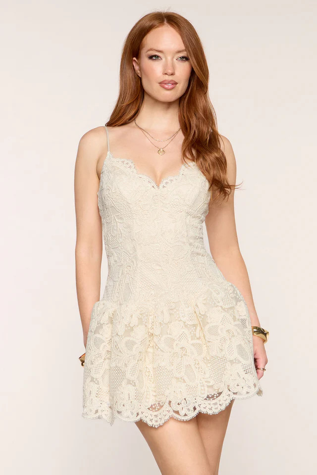 Priscilla Crochet Lace Skater Mini Dress | Windsor Stores