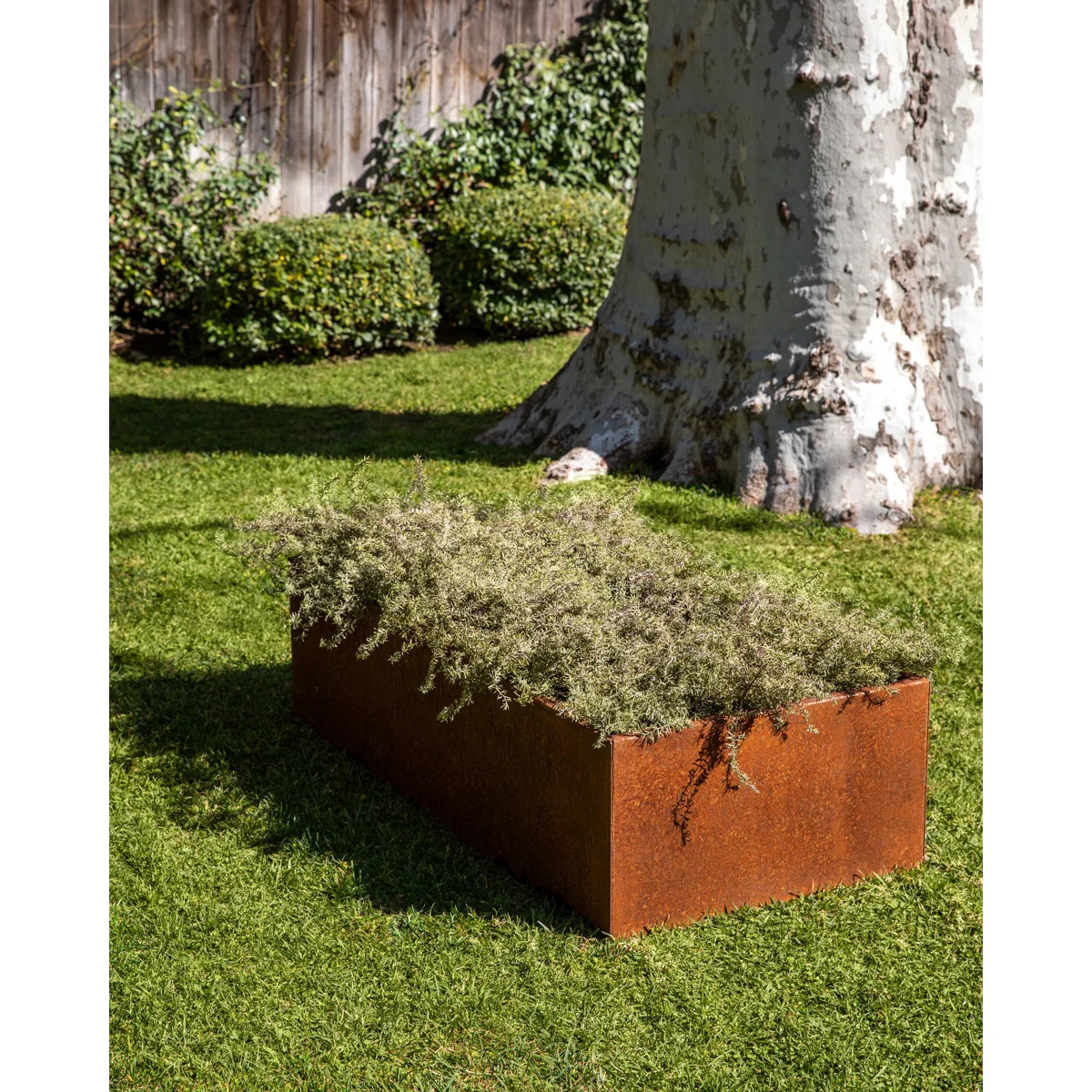 Corten Steel Series 13" H Garden Bed Square Planter | Wayfair North America