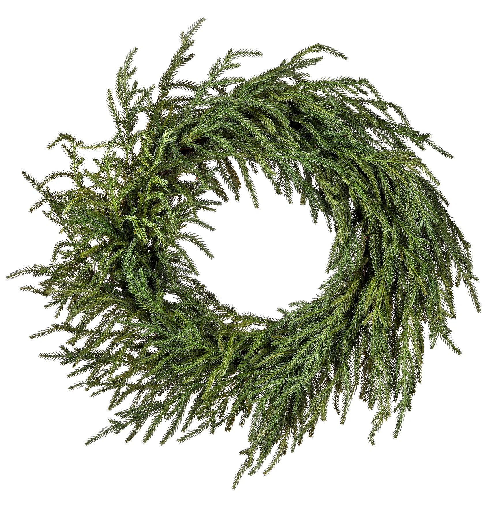Norfolk Just Cut 24" Wreath | Wayfair North America
