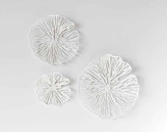 Creative Co-Op Handmade White Coral Shaped Paper & Metal Décor (Set of 3 Sizes) Wall Art | Amazon (US)
