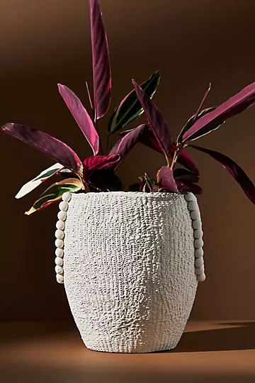 Mesa Pot | Anthropologie (US)