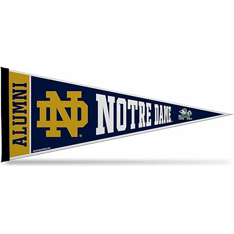 Rico Industries NCAA Exclusive 12" x 30" Felt Wall Décor Pennant - Great for Home/Bed Room/Man C... | Amazon (US)