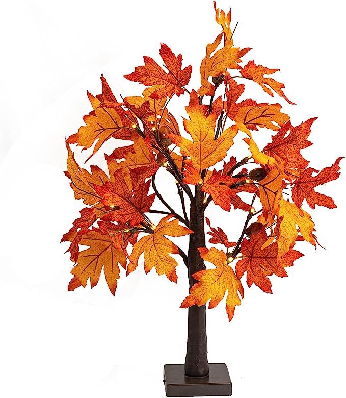 Dazzle Bright 24 Inch Lighted Thanksgiving Fall Maple Tree Decor, 24 LED Battery Operated Decorat... | Amazon (US)