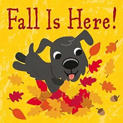 Fall Is Here! | Amazon (US)