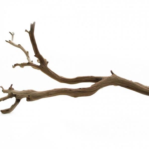 Decorative Natural California Driftwood Branch | Wayfair Professional