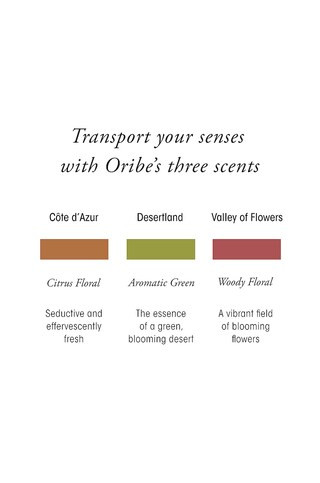 Desertland Incense Sticks
                    
                    Oribe | Revolve Clothing (Global)