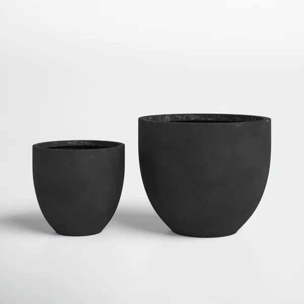 Elderflower 2-Piece MgO Pot Planter Set | Wayfair Professional