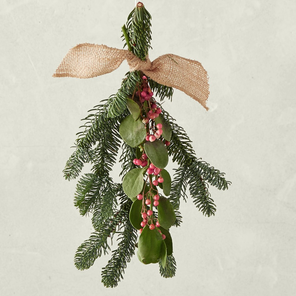 Live Mistletoe | Williams-Sonoma