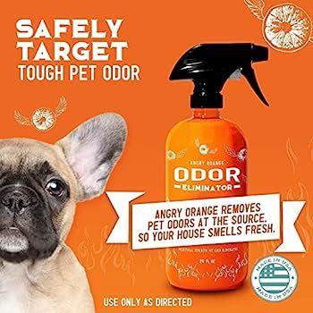 ANGRY ORANGE Pet Odor Eliminator for Strong Odor - Citrus Deodorizer for Dog or Cat Urine Smells ... | Amazon (US)