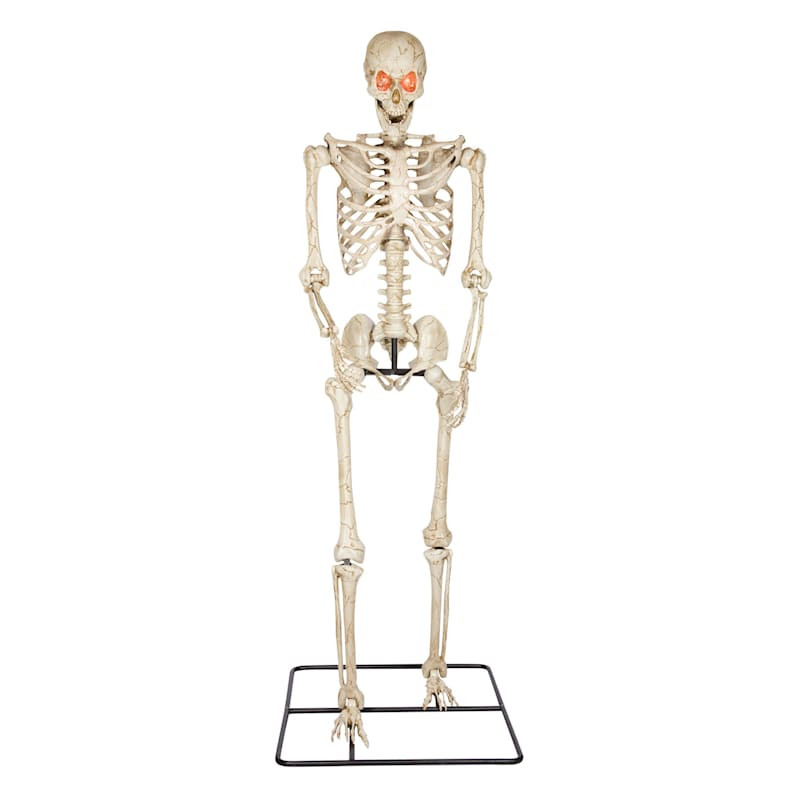 Poseable Halloween Skeleton, 10' | At Home