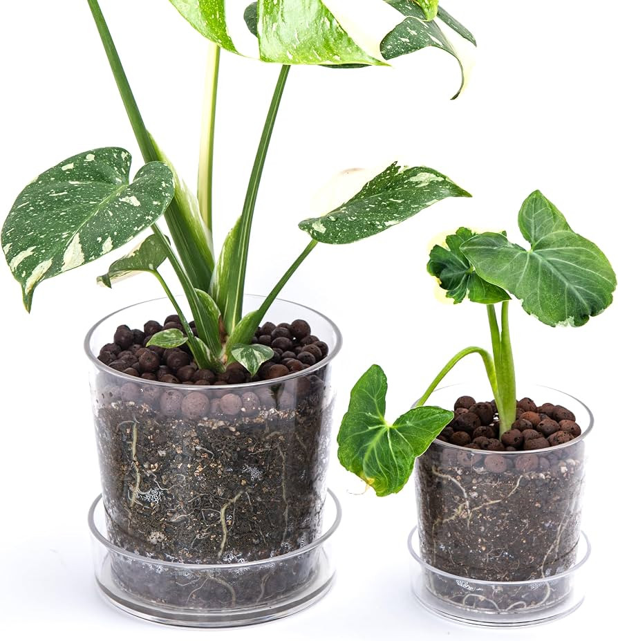 Phoenix Vine 6.5 Inch 4.5 Inch Clear Acrylic Houseplants Planter Pot with Tray, Orchid Pot with D... | Amazon (US)