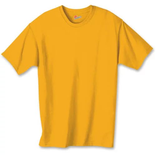 Hanes Boys 4-18 Tagless Short Sleeve T-Shirt - Walmart.com | Walmart (US)