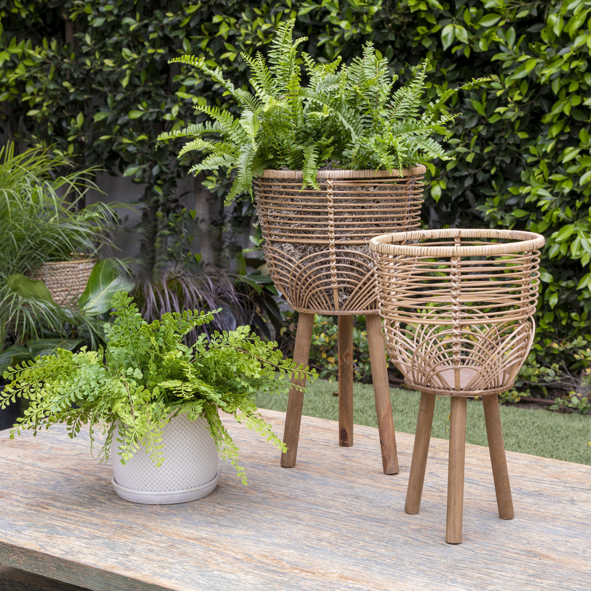 Wicker Planters 10/12 Inch Natural - Set Of Two in Brown by Sagebrook Home | Homethreads