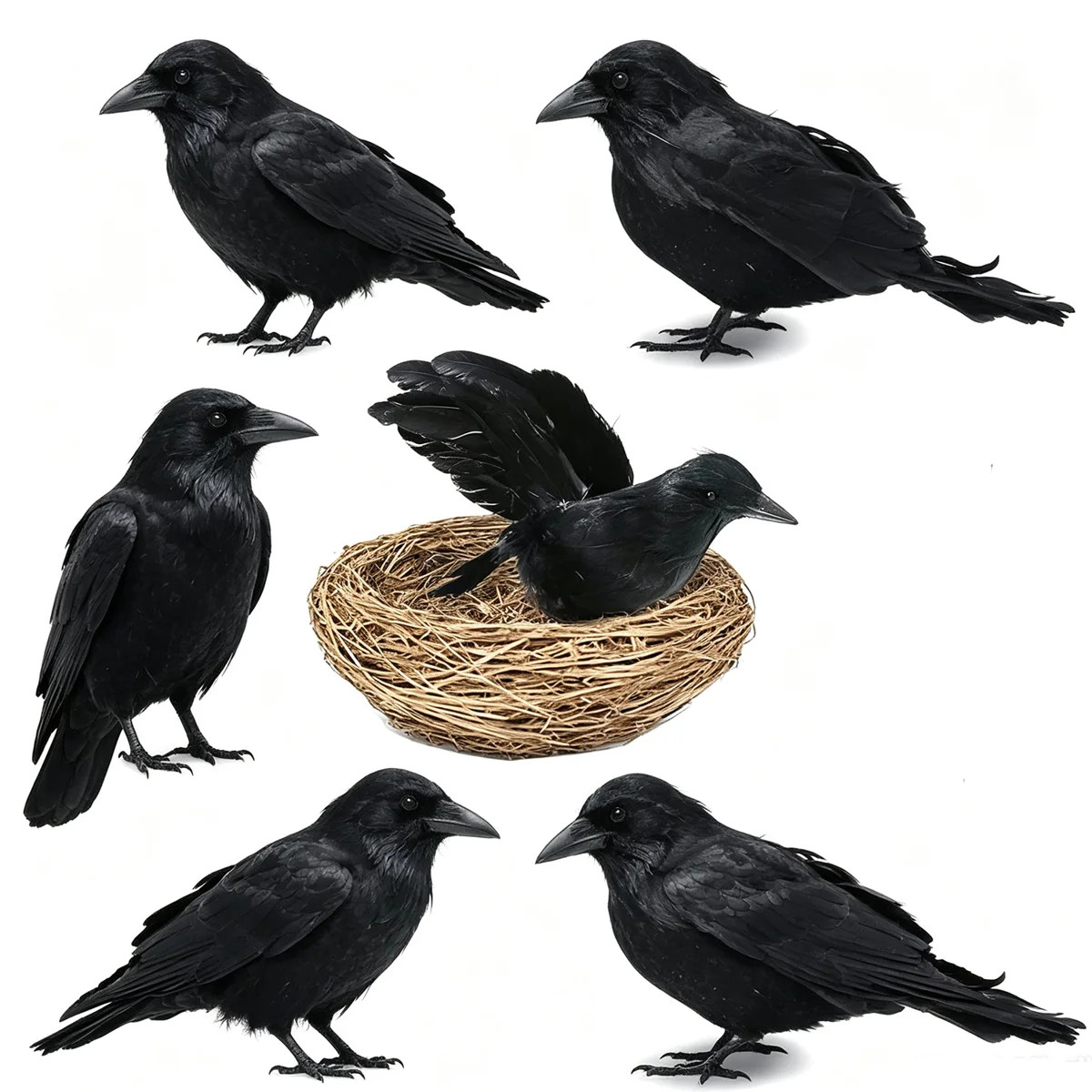 7Pcs Halloween Artificial Black Crow Decorations, Realistic Feathered Fake Raven Birds Set, 6 PCS... | Wayfair North America